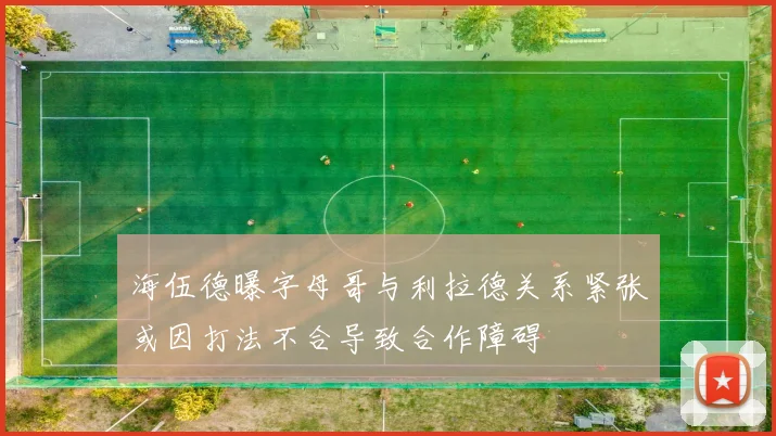 海伍德曝字母哥与利拉德关系紧张或因打法不合导致合作障碍