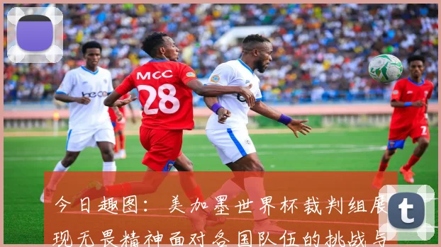 今日趣图：美加墨世界杯裁判组展现无畏精神面对各国队伍的挑战与针对